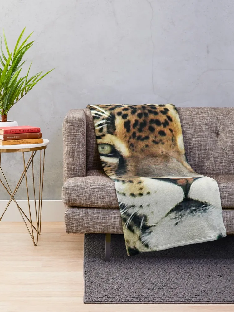 ġŸ ������ ���, ���� ħ�� ���, ķ�� ���, ���� ���