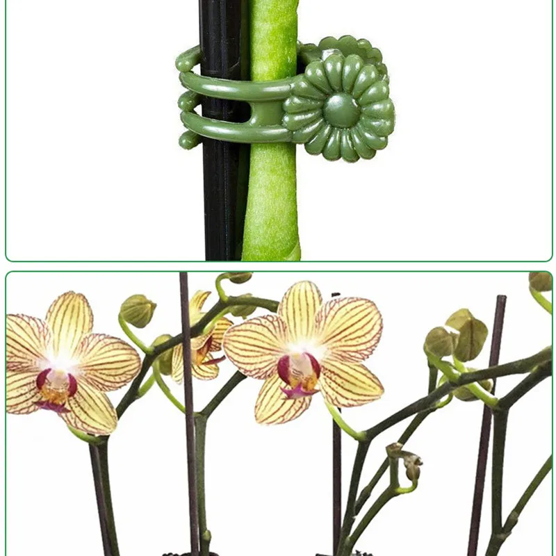 

Plastic Plant Support Clips, Orchid Stem Clip for Vine Support, Vegetables Flower Tied Bundle, Branch Clamping Garden Tool