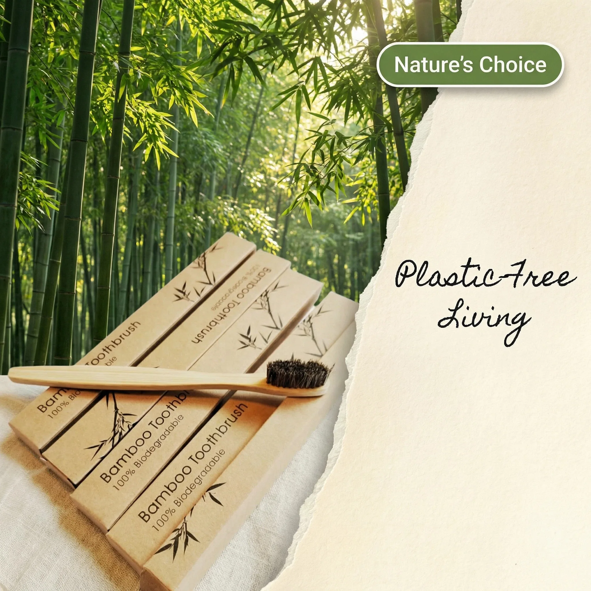 천연 대나무 칫솔, 여행용 칫솔&말털(10개입), 성인용 부드러운 칫솔모, 100% 생분해성, 플라스틱 및 나일론