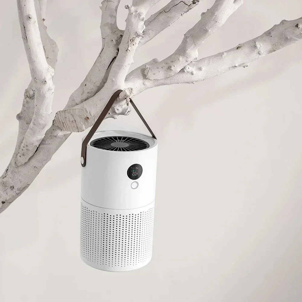 Xiaomi AP01 Negative Ion Air Purifier Odor Deodorizer Remove Dust Smoke Removal Formaldehyde Air Filter USB Mute Household With 6