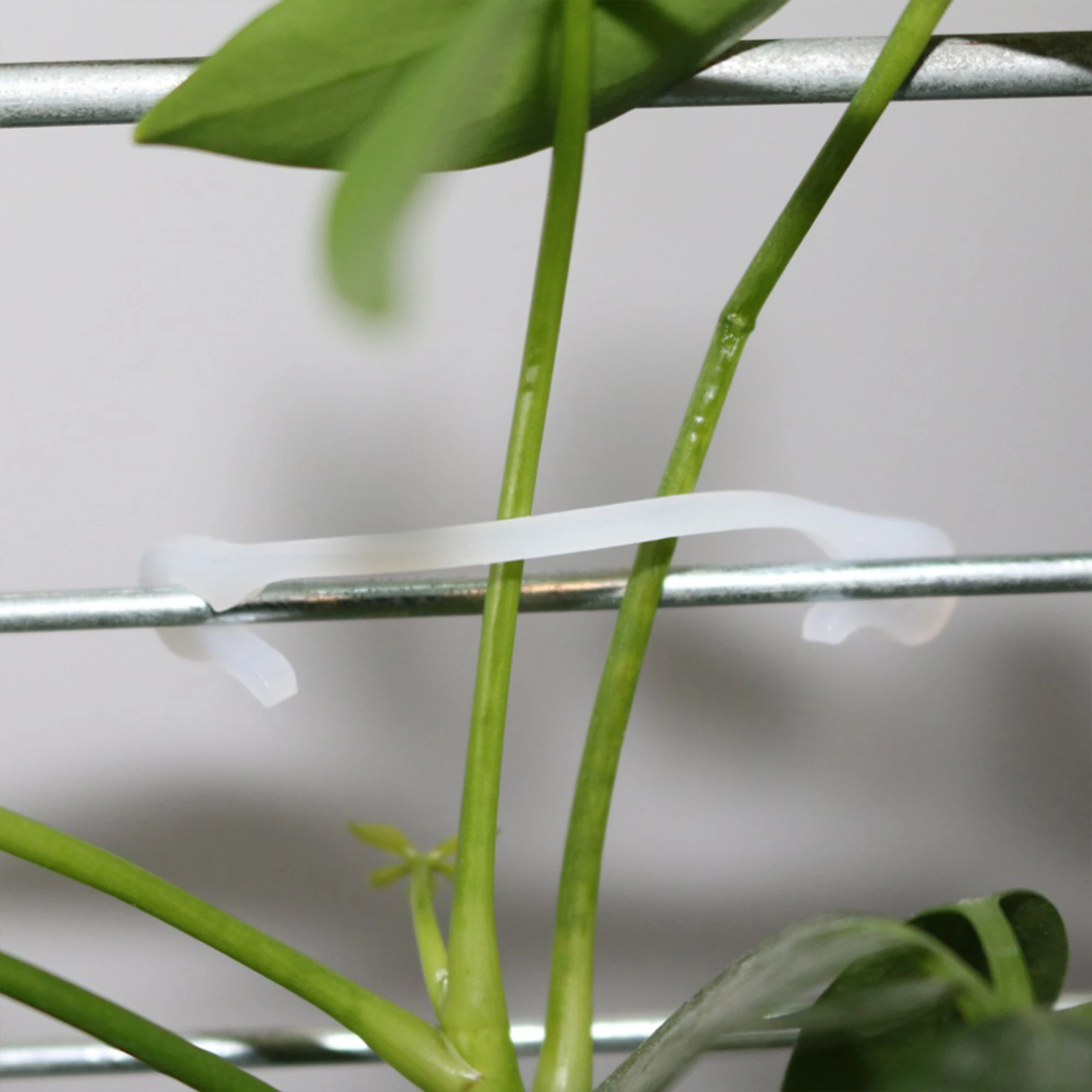 Plant Vine Binding Clip Fixing Clip Gardening Plant Support Climbing Vine Sticky Wall 100pcs