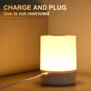 Touch Night Lamp 3 Modes Dimming Bedroom Bedside Lamp USB Charging Night Light Ambient Light Soft Light Table Lamp For Kids Gift 3
