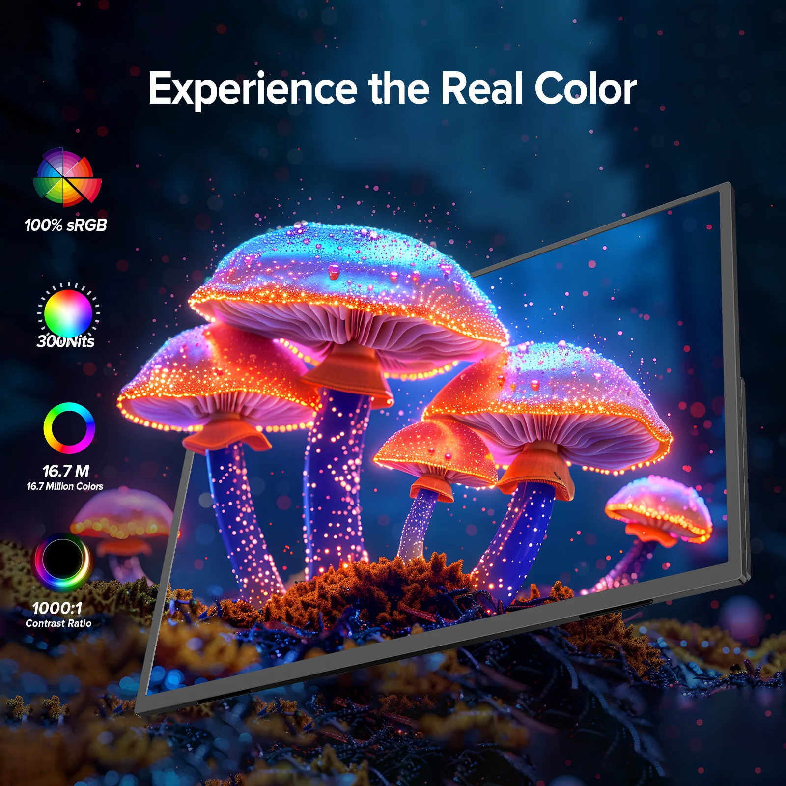 EVICIV 24.5인치 165Hz 2K 휴대용 모니터(킥스탠드 포함) VESA USB-C HDMI FreeSync IPS HDR 게이밍 디스플레이(노트북 미니 PC 데스크탑용)