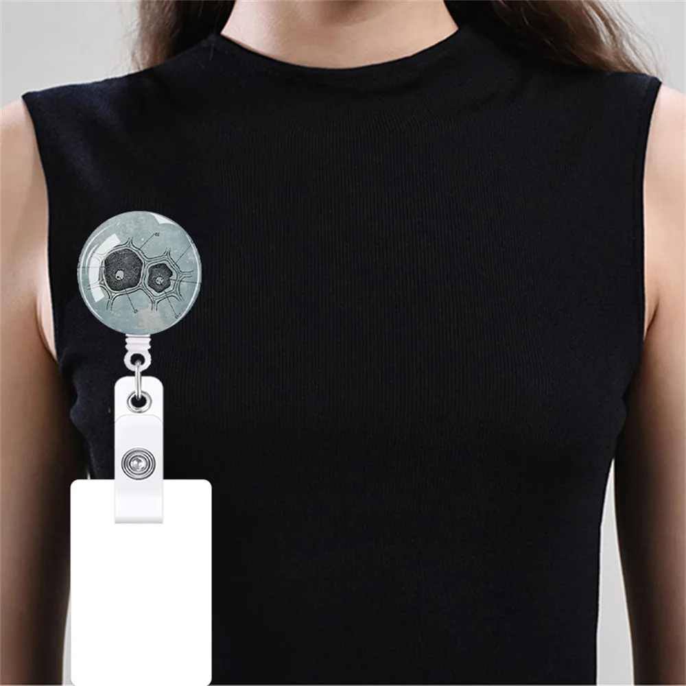 Kidneys Organs Gut Heart Brains Retractable Badge Reel Clip Badge Holder Doctor Nurse ID Card Holder Office Supplies badge holder retractable badge reel