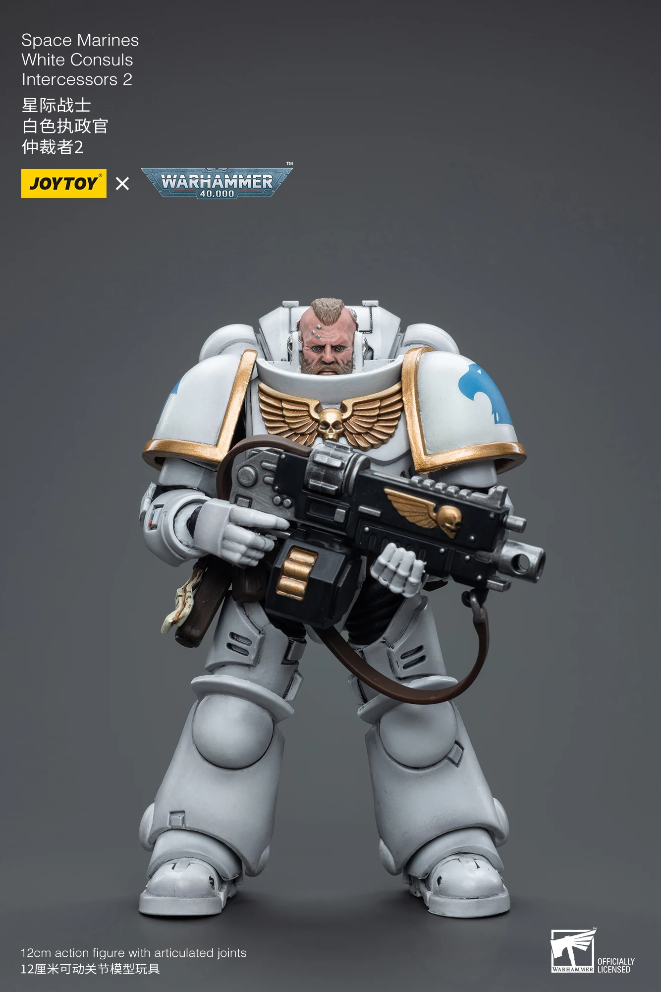 Sbbb9e3e8c5a6464aa7173feb3037a1cdX - Joytoy Warhammer 40K