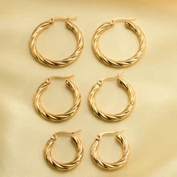 3pair Vintage Twisted Hoop Earrings for Women Gold Plated Stainless Steel Twist Ear Buckle Stackable Circle Hoops Party Jewelry 1