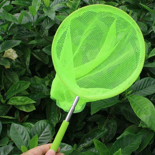 Stainless Steel Rod Catch Tadpole Fish Net Kids Outdoor Fish Net Stockings Telescopic  Fishing Insect Butterfly Dragonfly Net - AliExpress