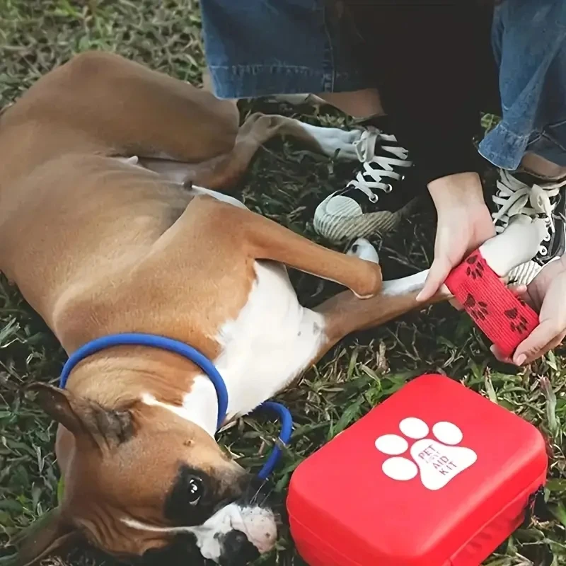 Pet First Aid Kit 4