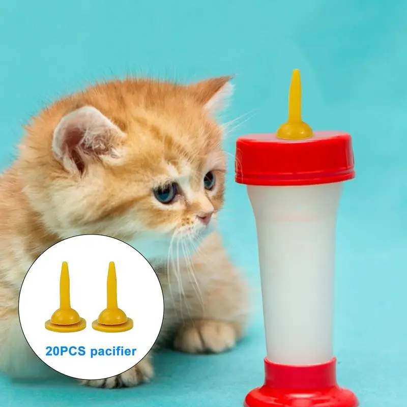 How To Properly Bottle Feed A Kitten