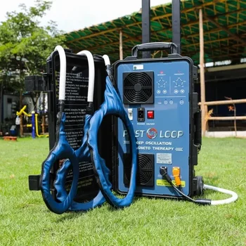 PEMF Electromagnetic Therapy Machine 1