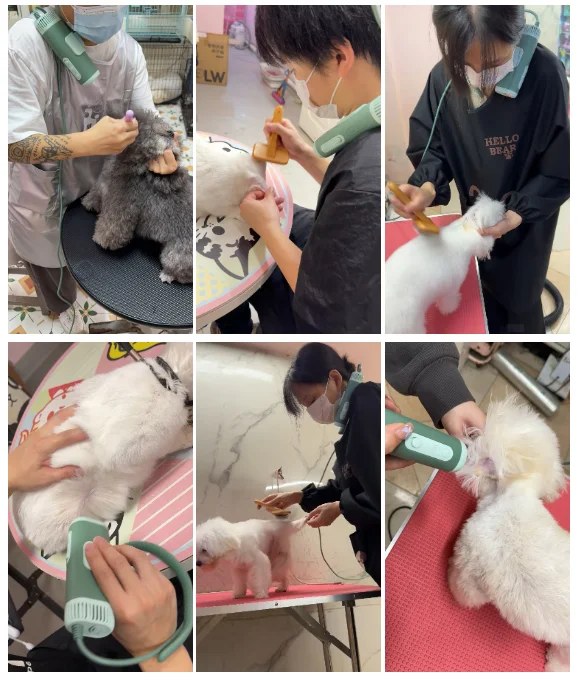 Pet Grooming Dog Hair Dryer Water Blowing Machine Neck Hanging Free Your Hands Neck Pet Hair Dryer With Desktop Stand