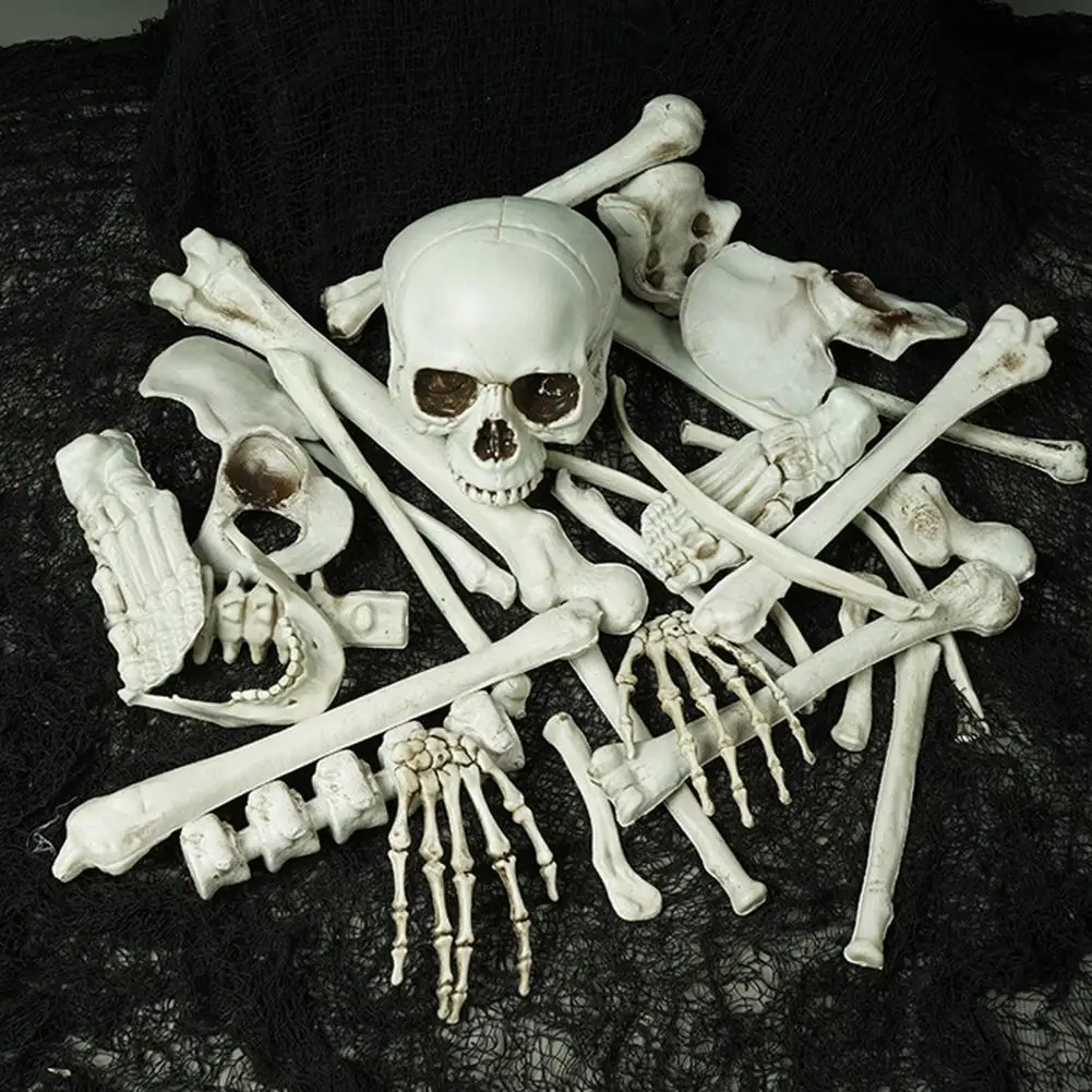 

Halloween Skeleton Decoration Skeleton Skull Bones Set Realistic Halloween Skeleton Stake Set Spooky Haunted House for Party