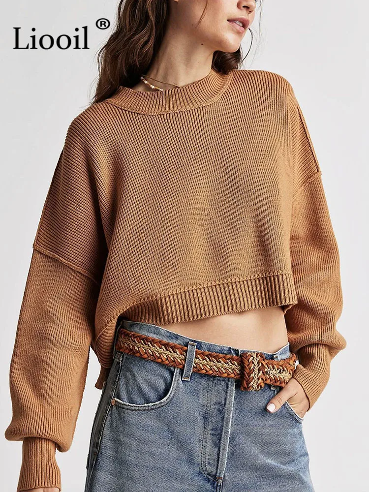 

Women Knit Ribbed Sweater Female Jumpers Long Sleeve Knitting Pullover Tops 2023 New In Knitwears Autumn Winter Loose Sweaters