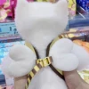 [Popular Chioce] Small Dog Harness and Leash Step in No Chock No Pull Soft Mesh Bee Heart Wing Cute Design With Secure Zinc Allo 2