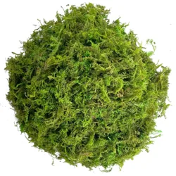 Vibrant Green Artificial Moss for Potted Plants and Crafts (Chartreuse)