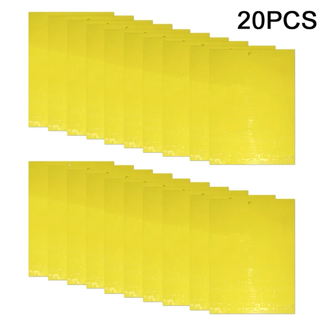 20pcs