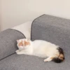 Large Cat Scratching Mat Carpet Non-Slip Pet Bed Mat Sofa Protector Cat Scratcher Anti-Scratch Furniture Protector for Cats 6