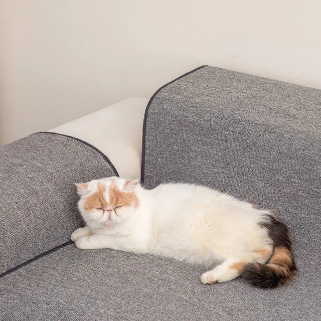 Large Cat Scratching Mat Carpet Non-Slip Pet Bed Mat Sofa Protector Cat Scratcher Anti-Scratch Furniture Protector for Cats 6