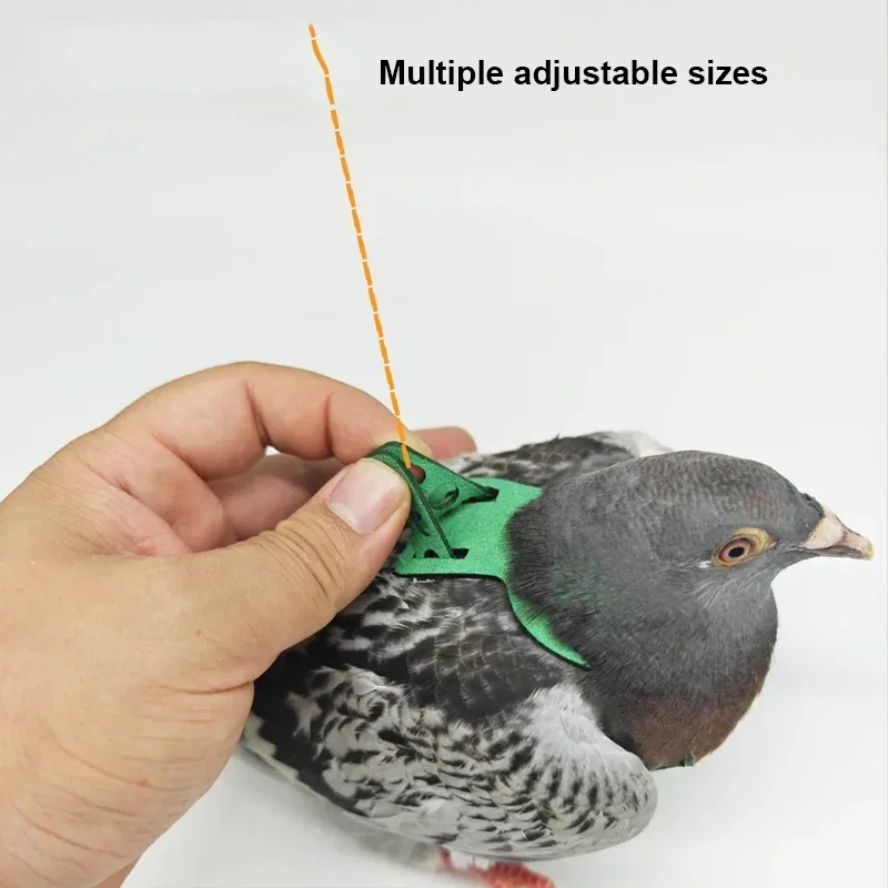 Parrot Pigeon Harness And Leash Flying Anti-bite Traction Rope Straps Bird Training Outdoor Carrying Adjustable Bird Pet Product - Image 4