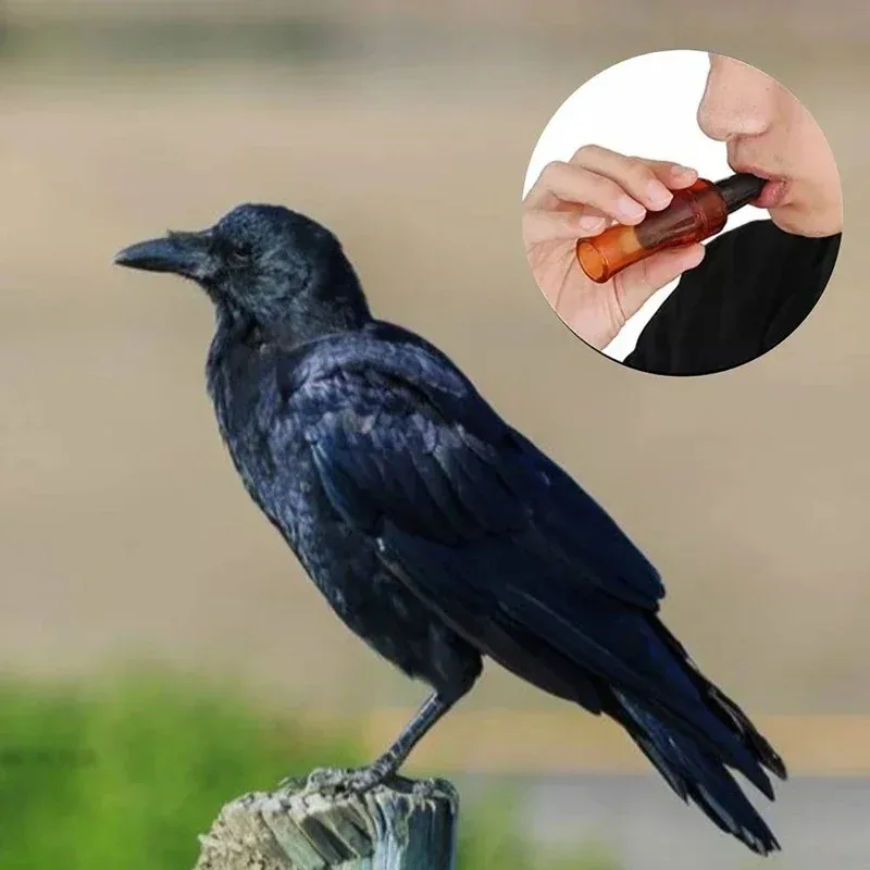 Sifflet leurre corbeau canard chasse - Outil simulation sonore pour attirer oiseaux gibier