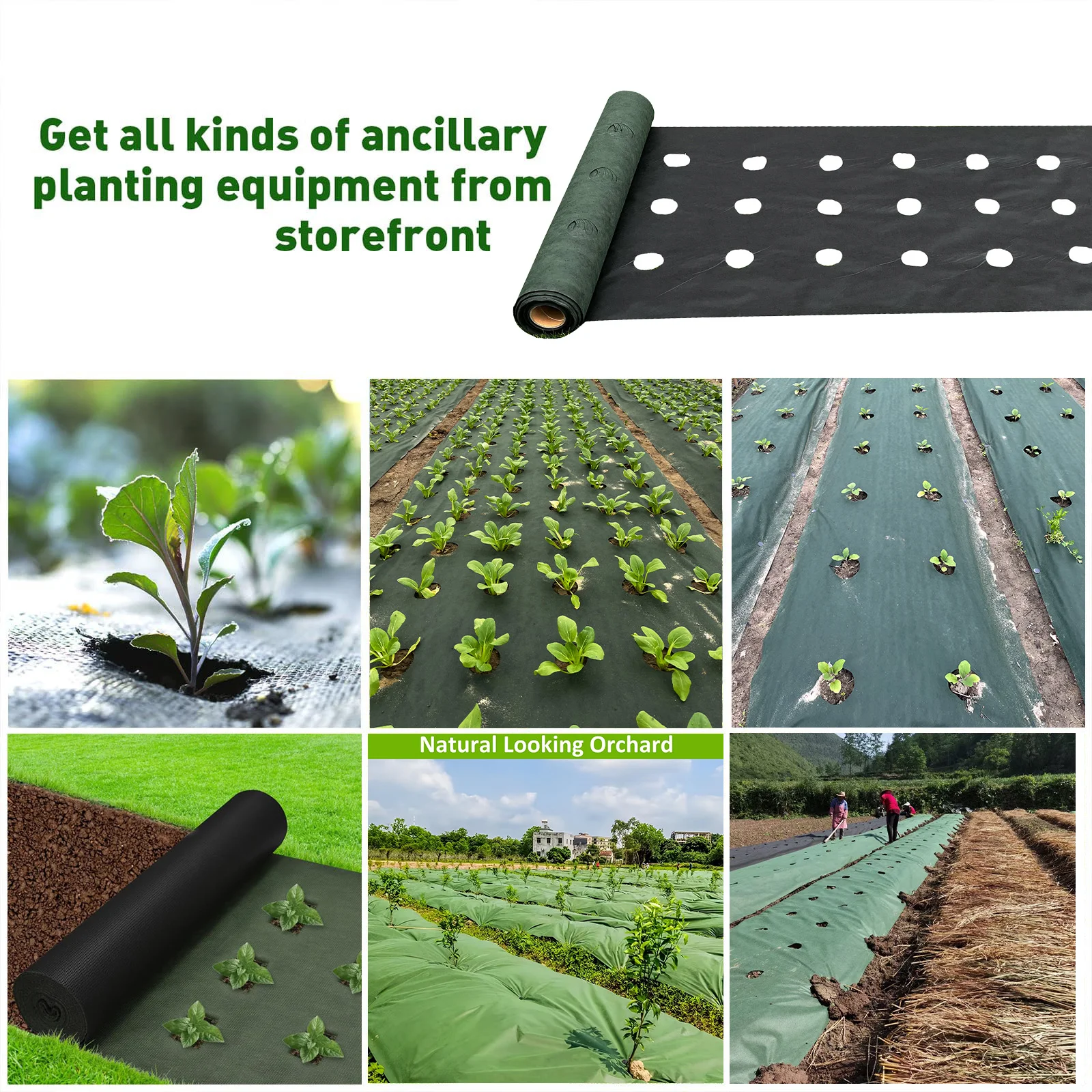 Durable Green & Black Perforated Weed Barrier Fabric with Premium Ground Stakes