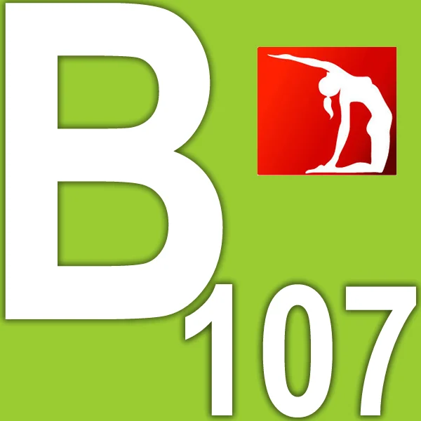 Q1 BB107 BB 107 Fitness Sports Tai Chi Yoga Pilates