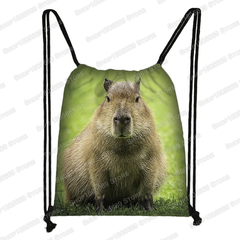 Capybara - schattige casual uitstapjes Capybara grappige rugzakken | Ruime Capybara Boeken | Trendy patroon boeken tas voor stijlvol en praktisch gebruik, roze, Refer to description