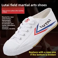 LuTai Men's Athletic Shoes Canvas Rubber Sole Training Martial Arts Shoes Anti-Slip Running Shoes Trendy for Adults in China