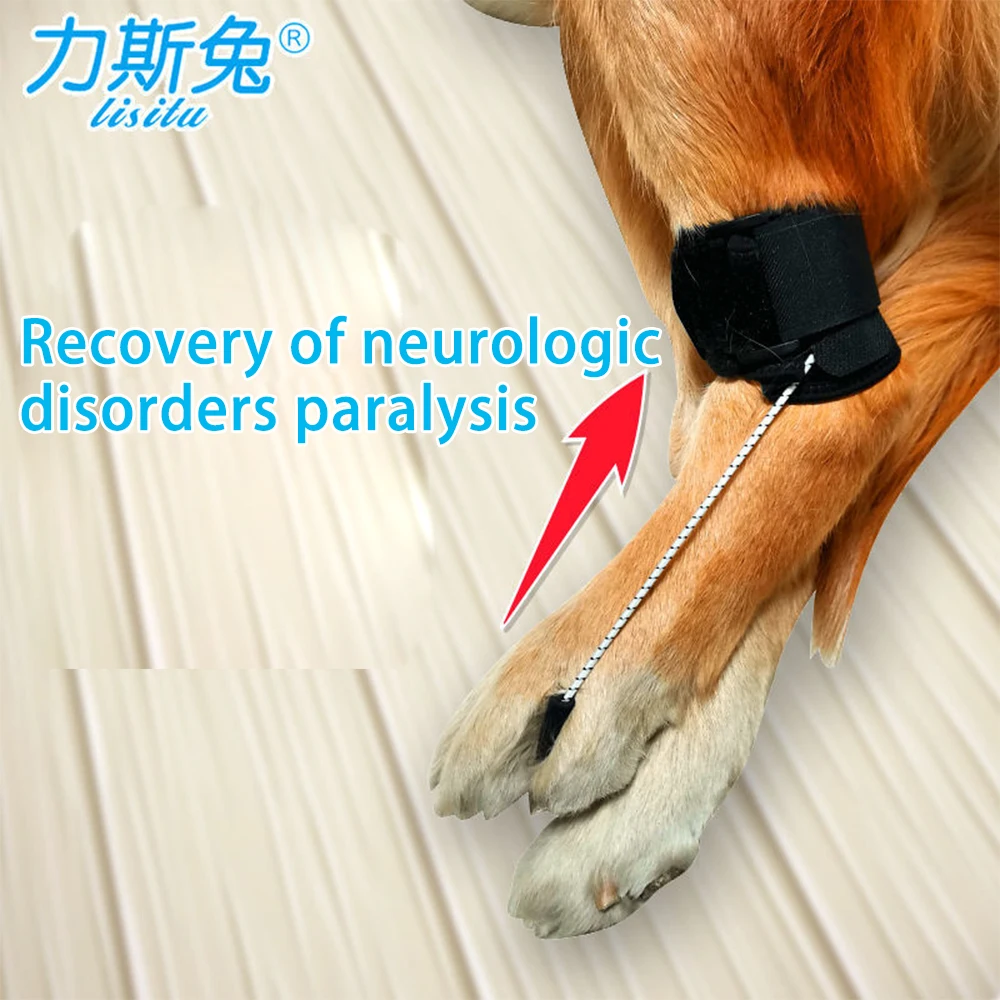 Dog Knuckling Corrector Toe Dragging Brace for Rear Back Leg Paw with Sciatic Nerve Injuries. Myelopathy and Spinal Injuries