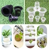 50Pcs Black Plant Grow Pots Garden Vegetable Soilless Hydroponic Basket Nursery Pots Hydroponic Colonization Mesh Cup 5