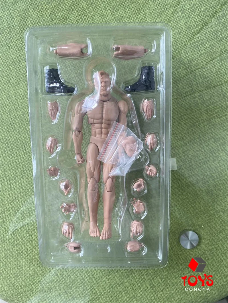 NwToys 1/12 スケール NW002 アニメ男性中筋ジョイントボディ超
