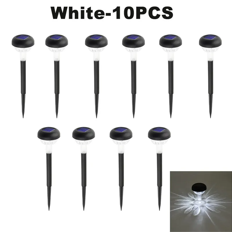 White 10 Pc