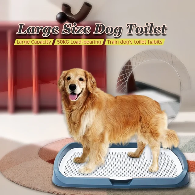 Large Detachable Pet Dog Toilet Column Dog Pee Fence Training Litter Box  Anti-Splash Anti-Slide Pets Wc Toilet Puppy Potty Tray - AliExpress