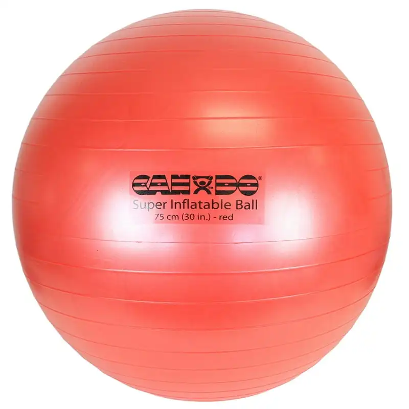 

Super Thick Inflatable Exercise