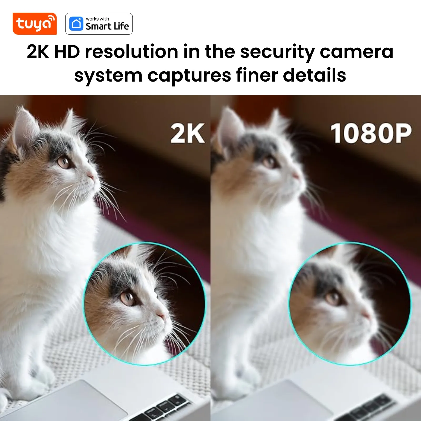 Tuya Smart 2k UHD Home Security Camera 2.4G Indoor Surveillance Cameras for Pet Cat Dog Cam Baby Monitor Tuya Official Shipping