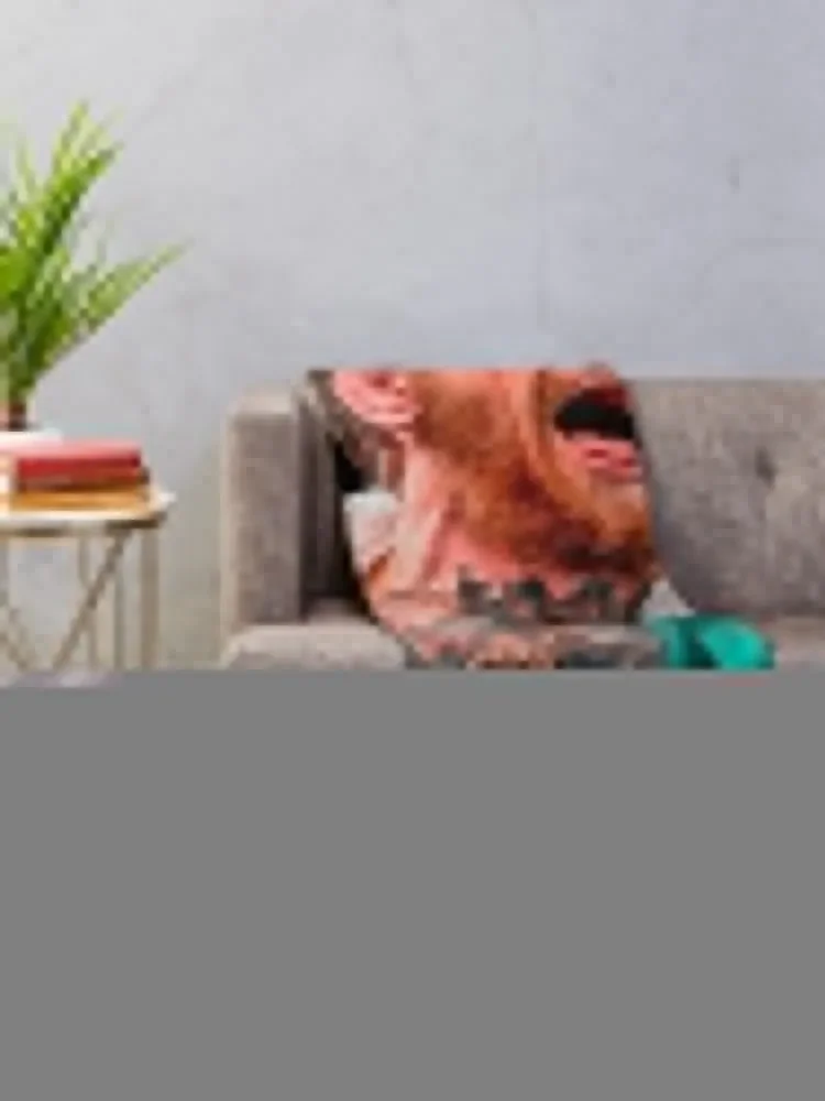 Conor mcgregor ������ ���, ���Ÿ� �����̳� �м� ����, �ε巯�� ���� ���