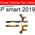 P Smart 2019