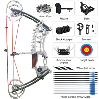 30-70Pound Compound Pulley Bow -Steel Ball - Outdoor Hunting and Shooting Practice Package Left Right Hand Hunting Bows 1