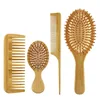 4 Pcs/set Hair Comb Set Eco-friendly Bamboo Wooden Air Cushion Massage Comb For Adult Children Wide Tooth And Pointed Tail Cmb 1