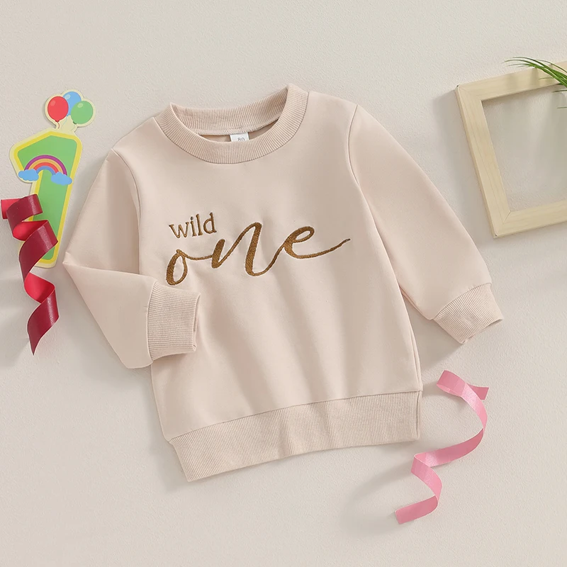 Infant Baby Boy Warm Sweatshirt Long Sleeve Round Neck Letter Embroidery Pullover Crewneck Shirt Tops for Winter Fall Clothes