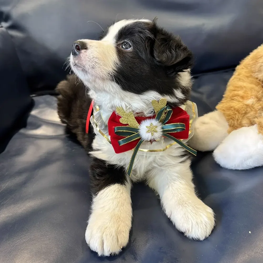 Adjustable and Comfortable Pet Drool Bib Cute Christmas Themed Saliva Towel Pet Cat and Dog Decoration Accessories