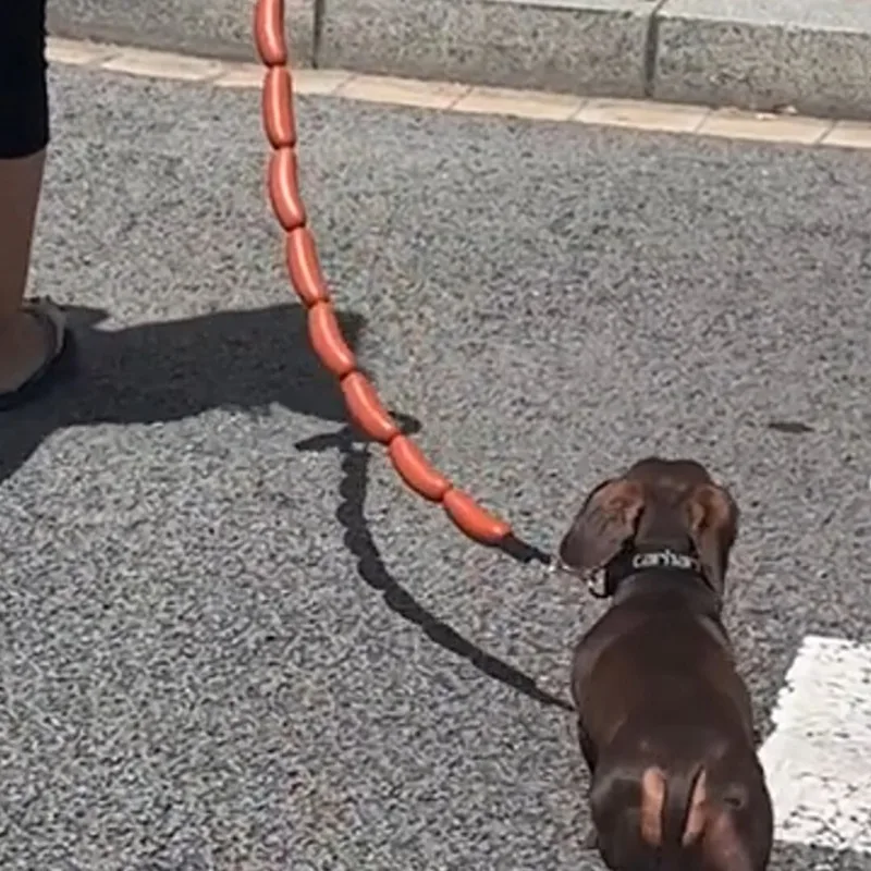 Dog Traction Rope String of Big Sausages Funny Walk the Dog Out Rope Small Medium Sized Dachshund Corgi Super Long Pet