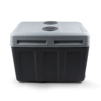 45L mini Refrigerator portable car use Cooler Box Refrigerator  for Travel Cooler Box Refrigerator 12v  24v 2