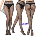 V6041
