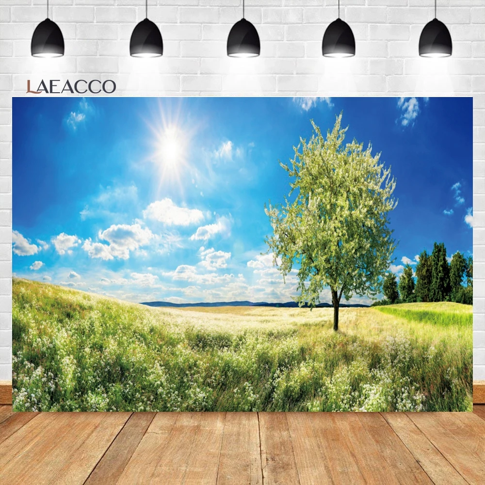 Laeacco ö ð  ʵ ڿ ǳ , ʿ ߻ȭ ܵ,   ʻȭ  