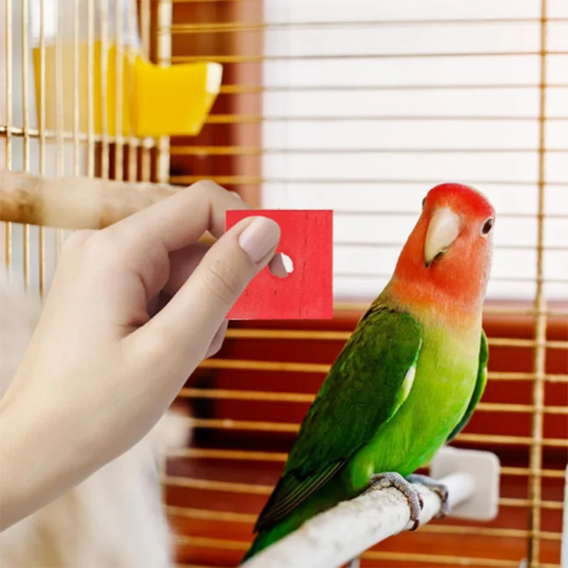 Parrot chews on toys, DIY birdcage colorful wood pieces, wooden beads, and wooden sticks spliced bird toys parrot supplies