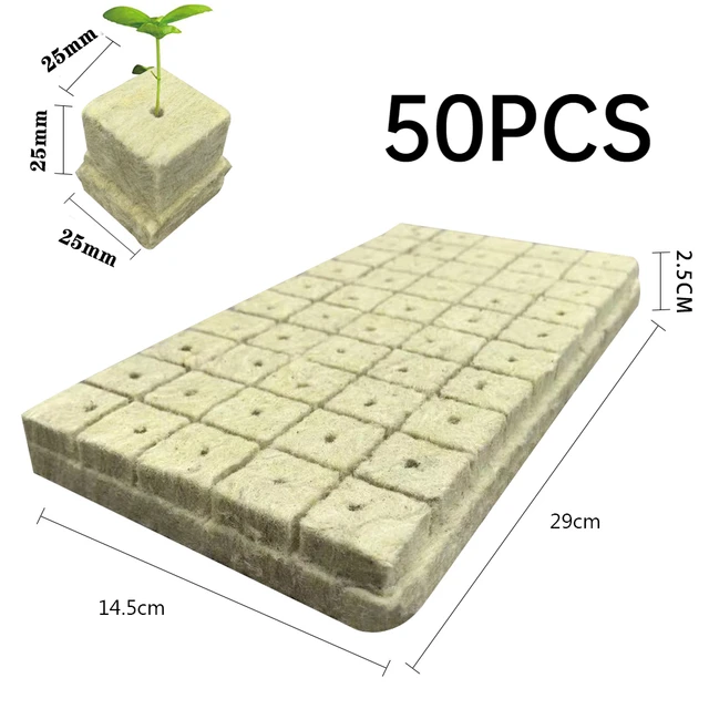 50PCS 25mm