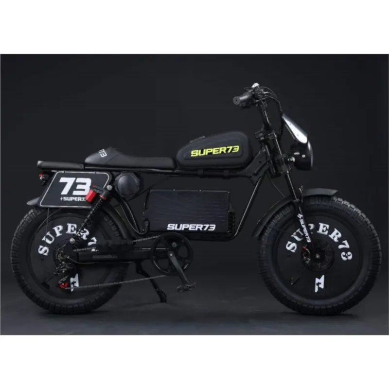 Black Warrior Lithium Battery Snowmobile Front and Rear Brake with NFC Electric Bicycle off-Road Beach Motorcycle