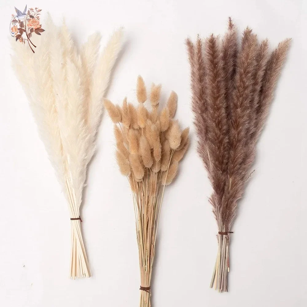 

30Pcs Fluffy Pampas Grass Decoration Wedding Arrangement Natural Phragmites Dried Flower Bouquet Bunny Tail Home Christmas Decor