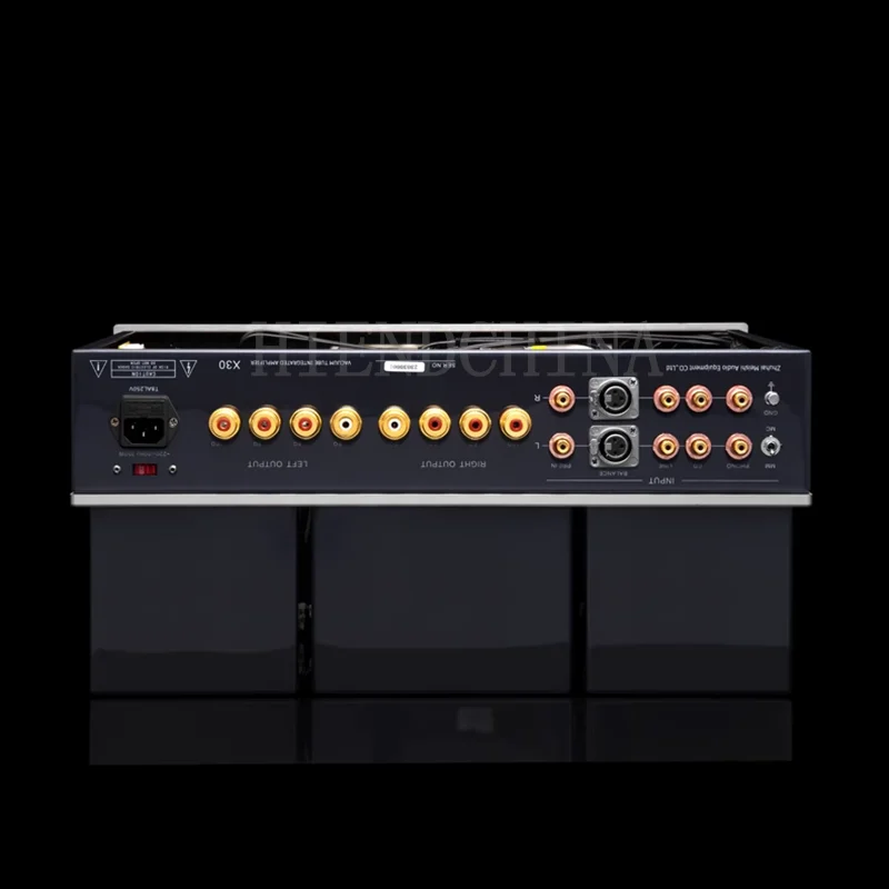 Рисунок 6 - Вакуумная трубка MUZISHARE X30